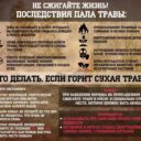 Неделя нулевого травматизма